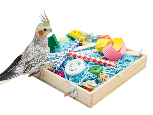 Parrot chew toys box with colorful wooden and rope toys beside a cockatiel bird