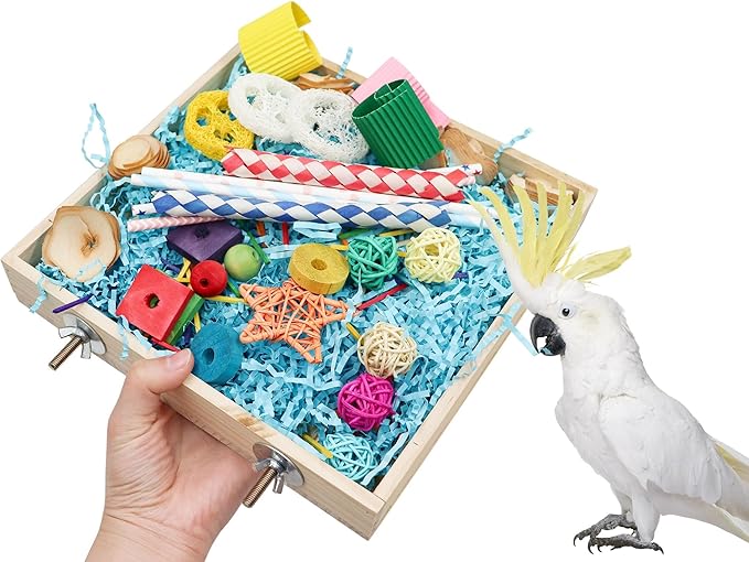 Hand holding parrot chew toys box filled with colorful bird-safe toys next to white cockatoo
