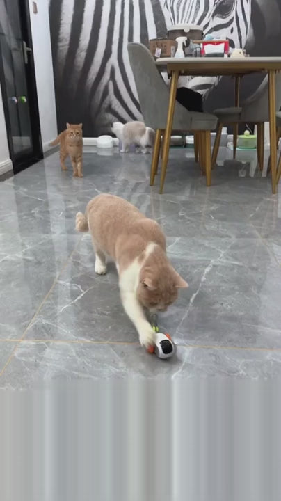 Snugll Pets Remote Controlled Pet Toy for Cats with Feather