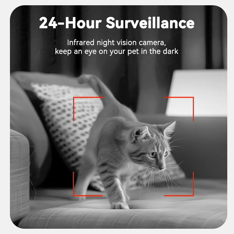 Infrared night vision camera showing a cat on couch with 24-hour surveillance for automatic dog feeder with camera