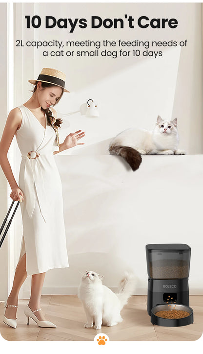 Snugll timed dog feeder with portion control in black with 2L capacity for cats or small dogs