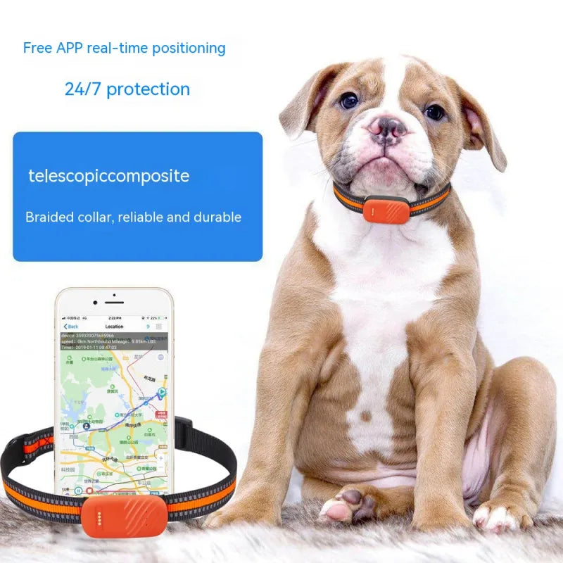 Snugll waterproof GPS pet tracker on puppy with braised collar and real-time positioning app